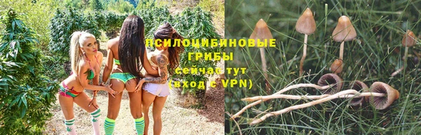 тгк Абаза